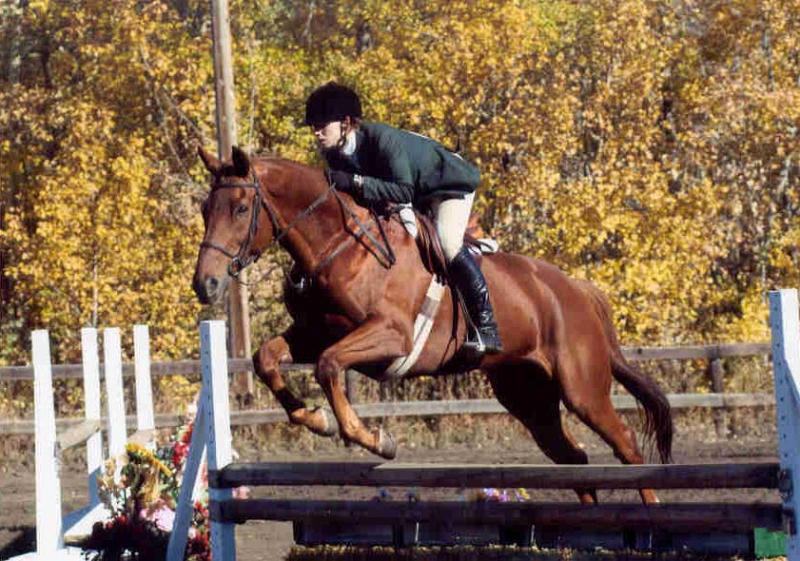 jumping1.jpg - Jennifer riding ? at Gorsline Fall Classic