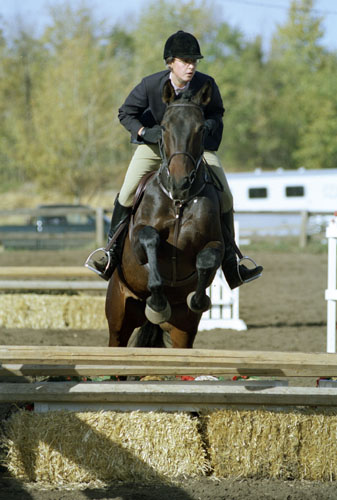 Magic Spell in Hunter ring at Gorsline Fall Classic Horse Show, Oct 2001